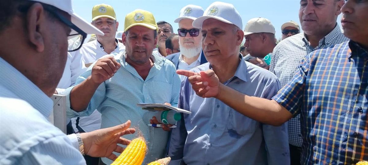 «الزراعة» تطلق يوم الحقل السنوي للذرة والأرز بسخا لتعزيز الأمن الغذائي ورفع الإنتاجية (صور)
