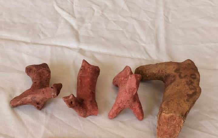 الكشف عن مومياوات وتوابيت من الحجر الجيري والفخار بـ3 مقابر في الواحات البحرية