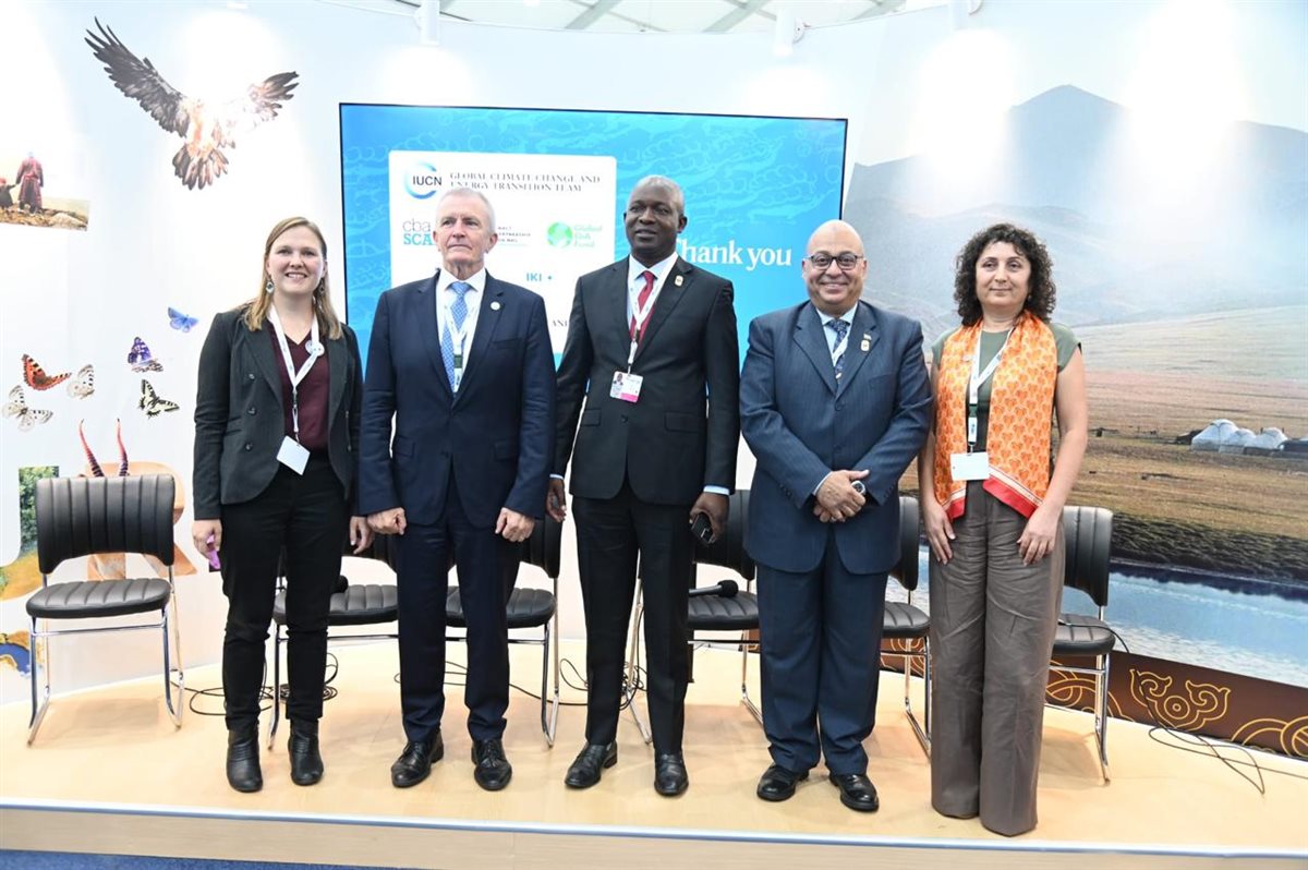 مصر تستعرض تجربتها في مواجهة التصحر والجفاف خلال مؤتمر "COP 17" بمنغوليا