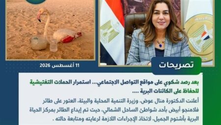 27 حملة تفتيشية و425 متقدمًا للوظائف القيادية.. حصاد أسبوعي مكثف لوزارة التنمية المحلية والبيئة