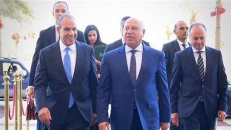 وزير الخارجية يبحث مع كامل الوزير مشروعات التنمية في قطاع النقل