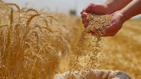خطة التموين لتأمين الاحتياطي الاستراتيجي من القمح بتنويع مصادر الاستيراد لضمان استقرار الإمدادات