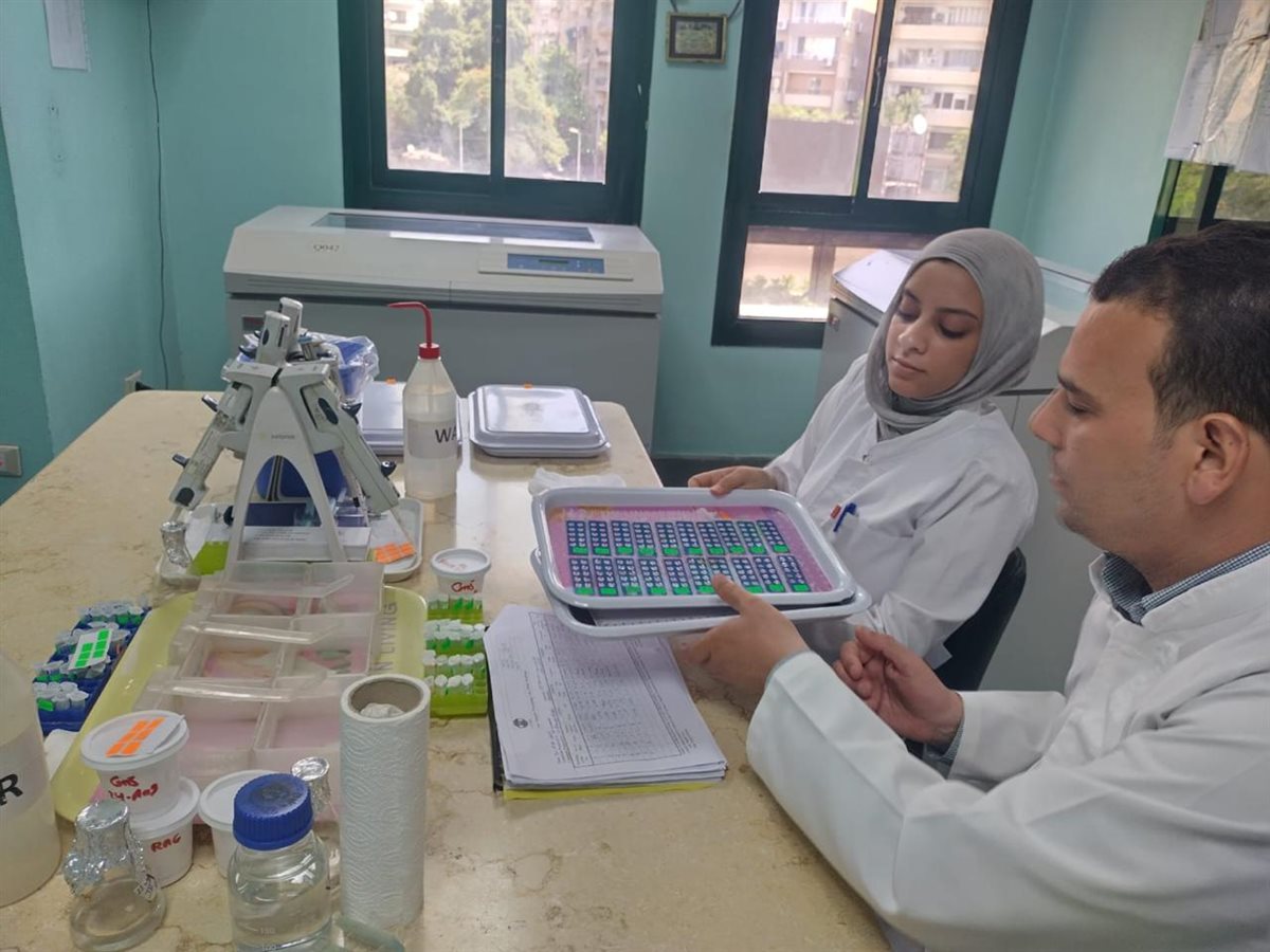 الزراعة: فحص 1.03 مليون طن بطاطس للتصدير و575 ألف طن تقاوي 1 الزراعة: فحص 1.03 مليون طن بطاطس للتصدير و575 ألف طن تقاوي