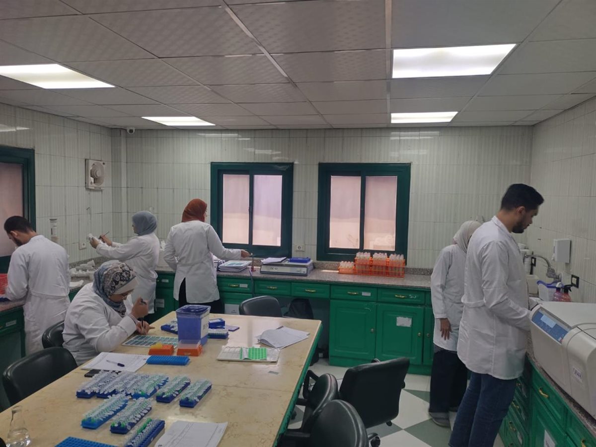 الزراعة: فحص 1.03 مليون طن بطاطس للتصدير و575 ألف طن تقاوي 3 الزراعة: فحص 1.03 مليون طن بطاطس للتصدير و575 ألف طن تقاوي