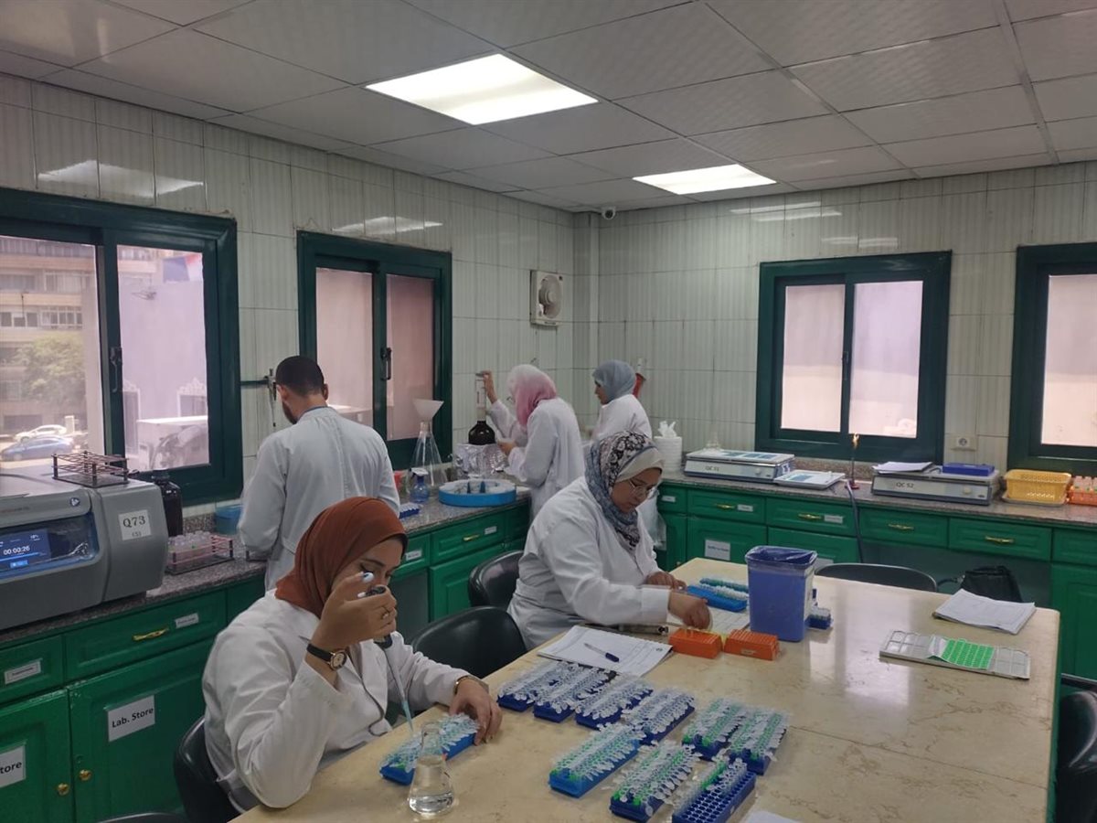 الزراعة: فحص 1.03 مليون طن بطاطس للتصدير و575 ألف طن تقاوي 2 الزراعة: فحص 1.03 مليون طن بطاطس للتصدير و575 ألف طن تقاوي