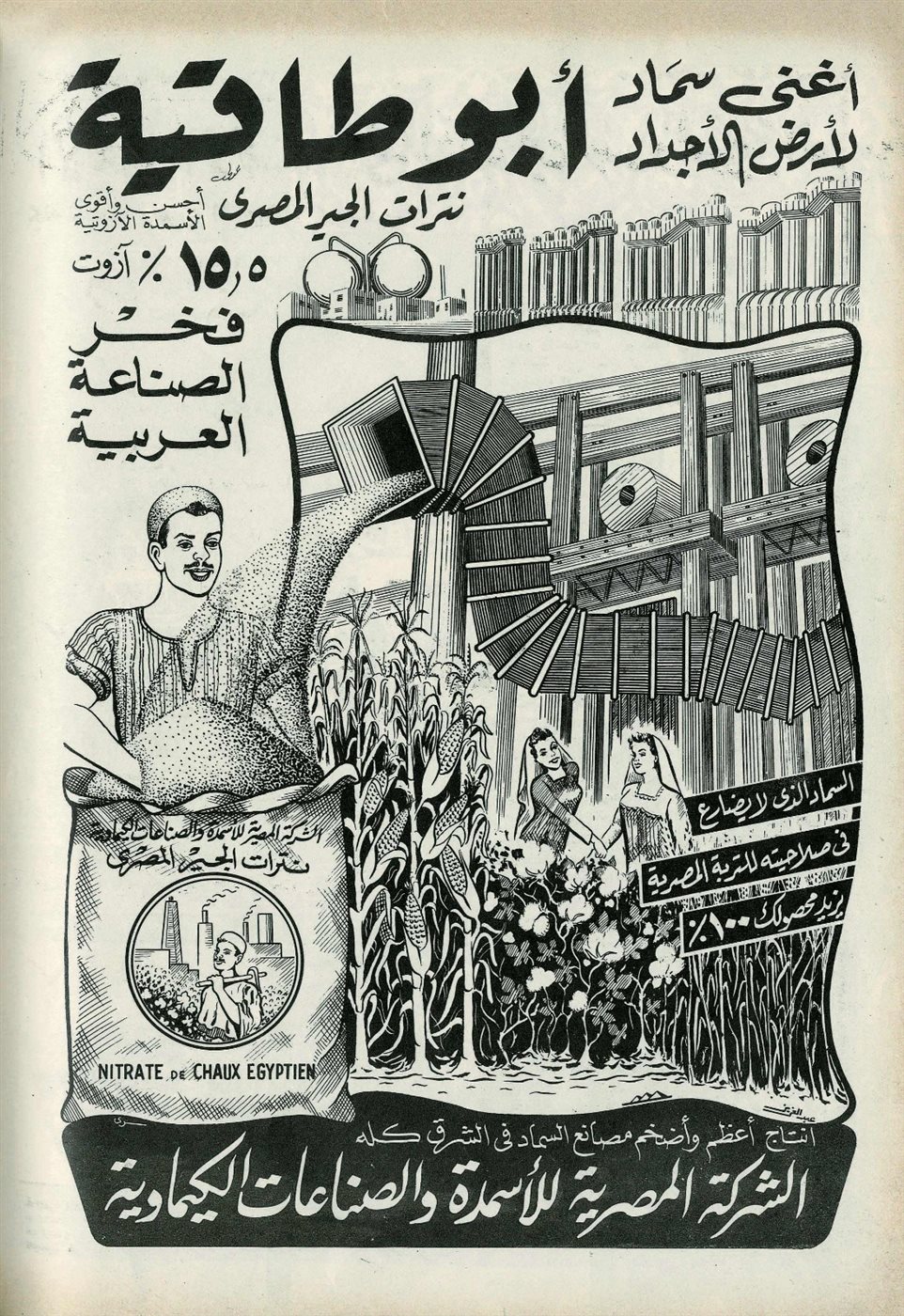 دار نشر الجامعة الأمريكية بالقاهرة تُصدر كتاب "قرن من الإعلانات المطبوعة في مصر" لـ بهيّة شهاب
