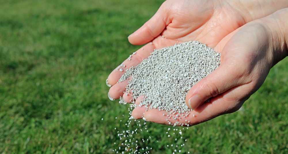 أسعار السماد اليوم، مصر24