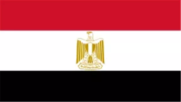 مصدر مسؤول: اعتبار مستشار السفارة الإثيوبية بالقاهرة شخصا غير مرغوب فيه وإمهاله 48 ساعة لمغادرة البلاد 1 مصدر مسؤول: اعتبار مستشار السفارة الإثيوبية بالقاهرة شخصا غير مرغوب فيه وإمهاله 48 ساعة لمغادرة البلاد