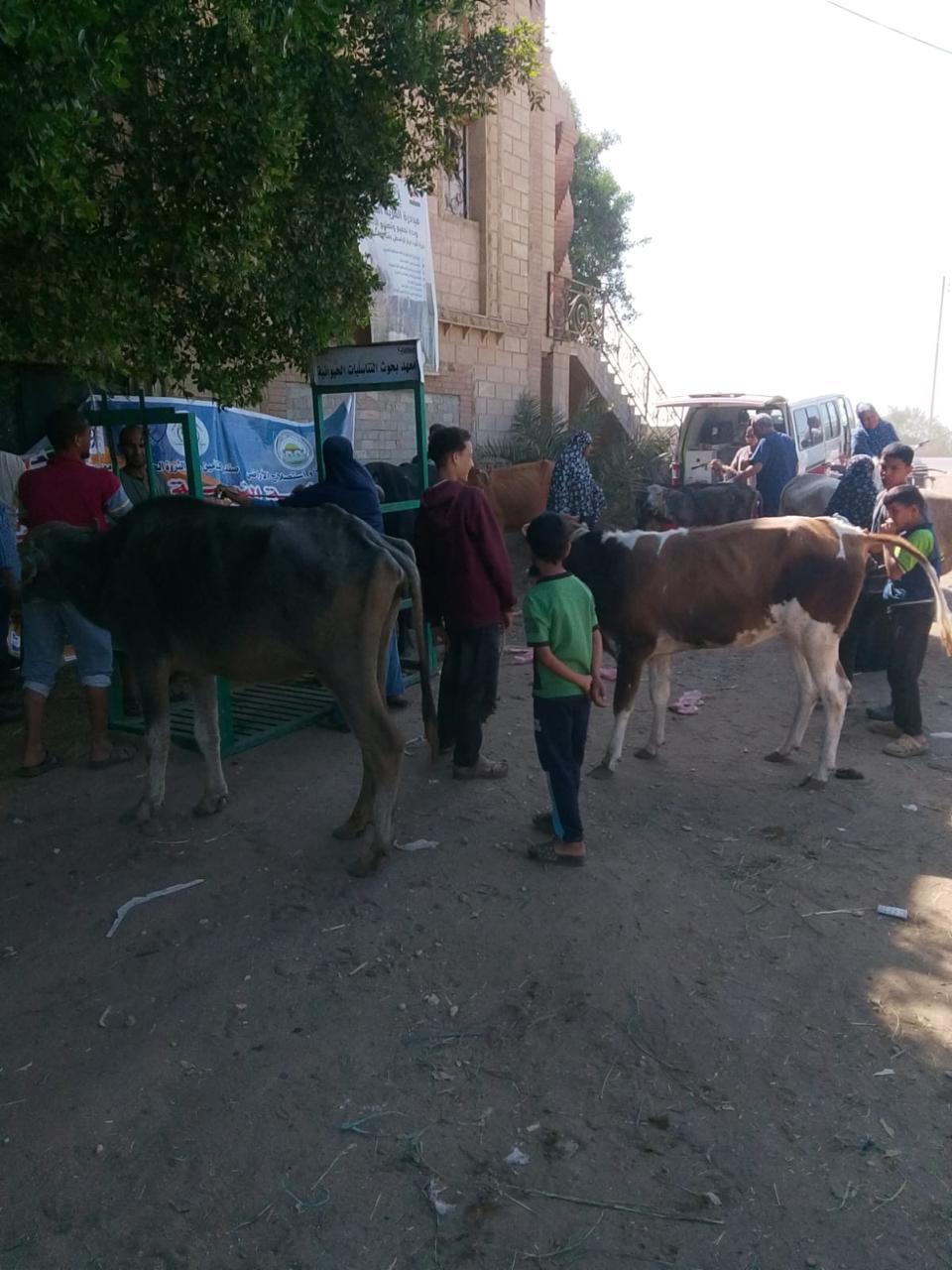 الزراعة تواصل دعم "إفوة" ببني سويف.. قافلة بيطرية وتجهيز الأراضي استعدادًا للموسم الجديد 5 الزراعة تواصل دعم "إفوة" ببني سويف.. قافلة بيطرية وتجهيز الأراضي استعدادًا للموسم الجديد