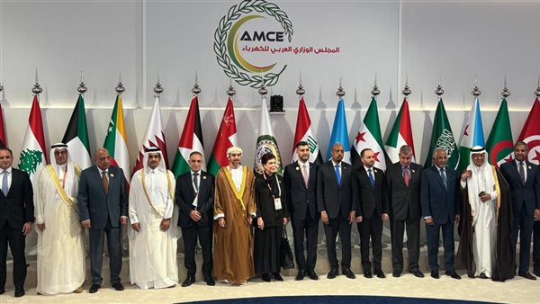 وزير الكهرباء: تطوير قاعدة بيانات عربية موحدة لمشروعات الطاقة المتجددة وكفاءة الطاقة