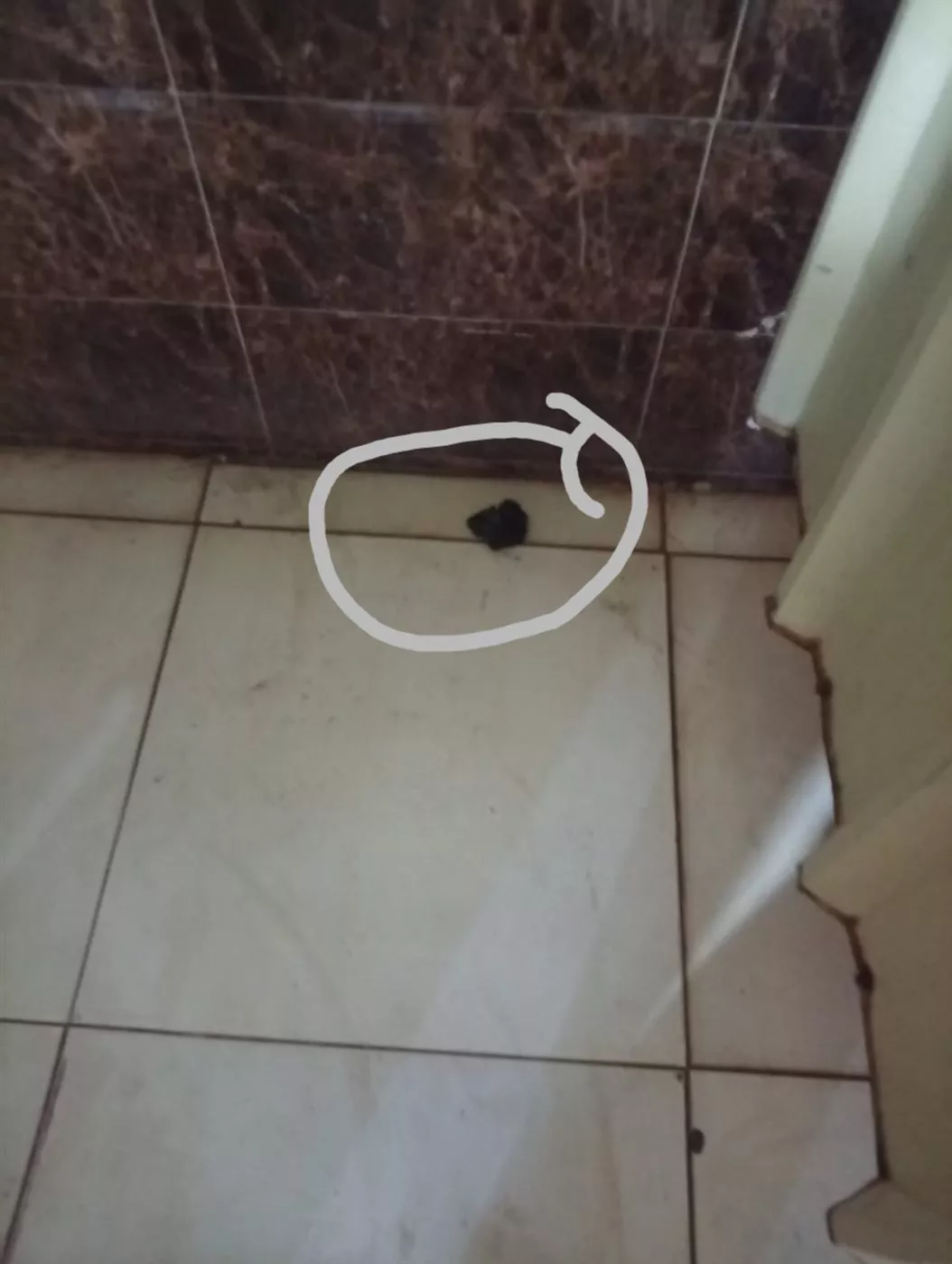 أب يتهم مدربا بالاعتداء والتنمر على نجله وإلقاء هاتفه داخل حمام سباحة 4 أب يتهم مدربا بالاعتداء والتنمر على نجله وإلقاء هاتفه داخل حمام سباحة