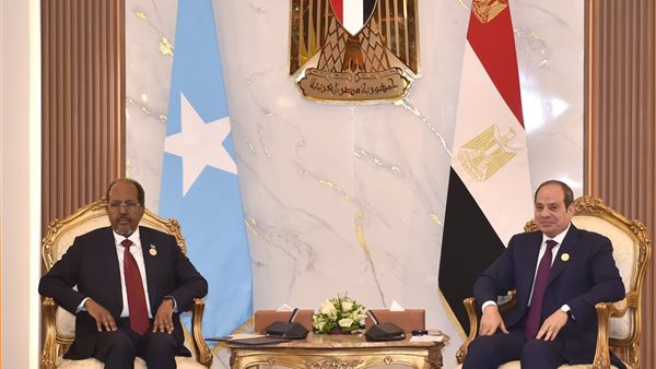 وسط قلق إثيوبي.. 3 ملفات حاسمة تتصدر قمة مصر والصومال وإريتريا والسودان اليوم