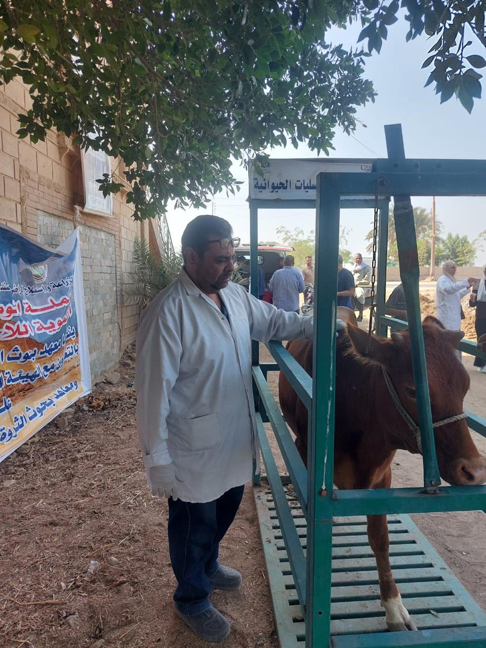 الزراعة تواصل دعم "إفوة" ببني سويف.. قافلة بيطرية وتجهيز الأراضي استعدادًا للموسم الجديد 6 الزراعة تواصل دعم "إفوة" ببني سويف.. قافلة بيطرية وتجهيز الأراضي استعدادًا للموسم الجديد