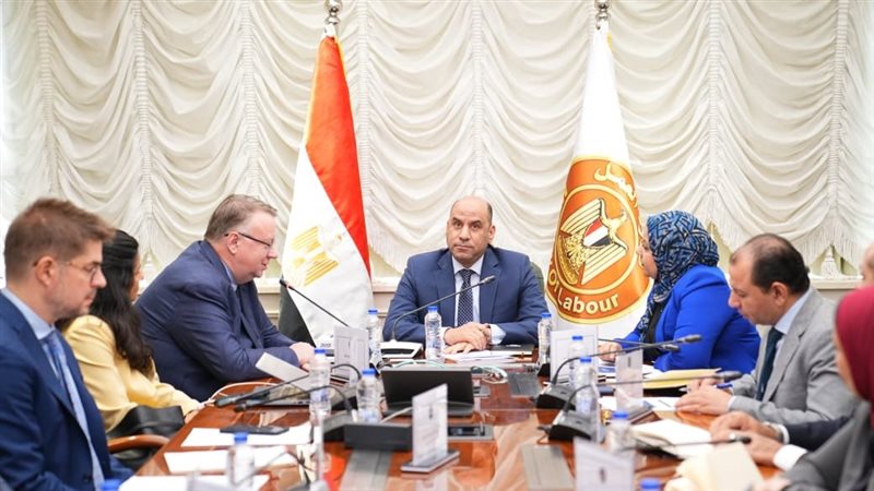 وزير العمل يوجه بالانتهاء من الاستراتيجية الوطنية للتشغيل لتوفير 1.4 مليون فرصة عمل سنويا 1 وزير العمل يوجه بالانتهاء من الاستراتيجية الوطنية للتشغيل لتوفير 1.4 مليون فرصة عمل سنويا