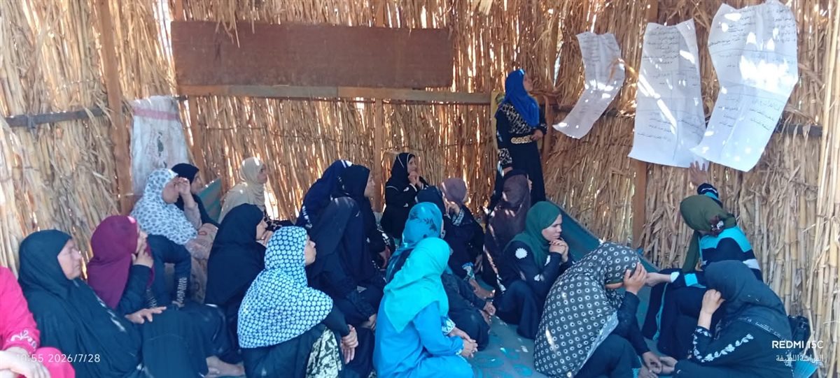 2003 مزارعين يستفيدون من المدارس الحقلية بالصعيد بينهم 612 سيدة 2 2003 مزارعين يستفيدون من المدارس الحقلية بالصعيد بينهم 612 سيدة