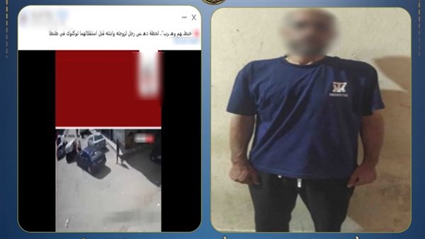 بالفيديو.. الداخلية تكشف ملابسات اصطدام مهندس بزوجته ونجلتهما عمدًا في الغربية