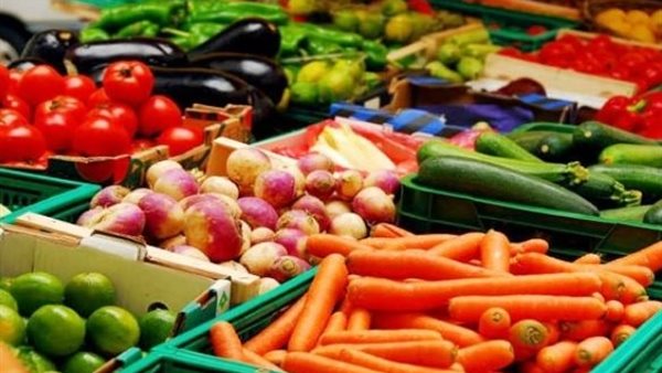 البحيري: جودة الخضروات المصرية تفتح فرصًا لمضاعفة حصتها عالميًا.. فيديو