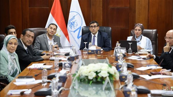 19 خبيرًا يقترحون سحابة وطنية وقمرًا مصريًا للاتصالات قبل منتدى مصر 2026